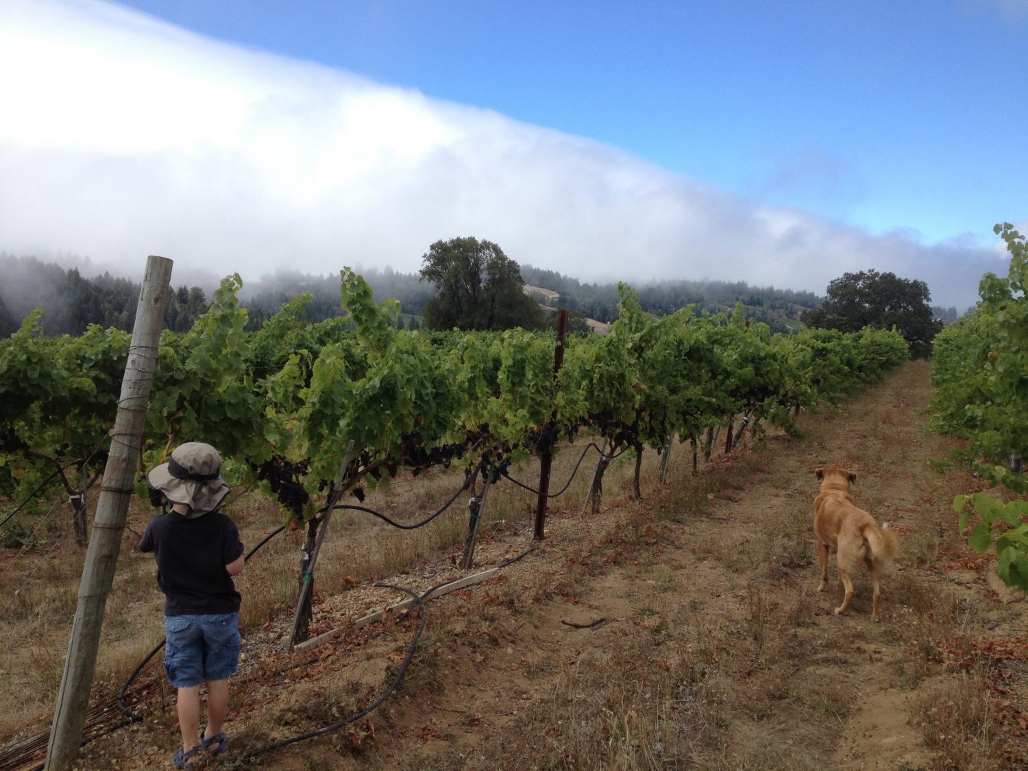 Bohan Ranch