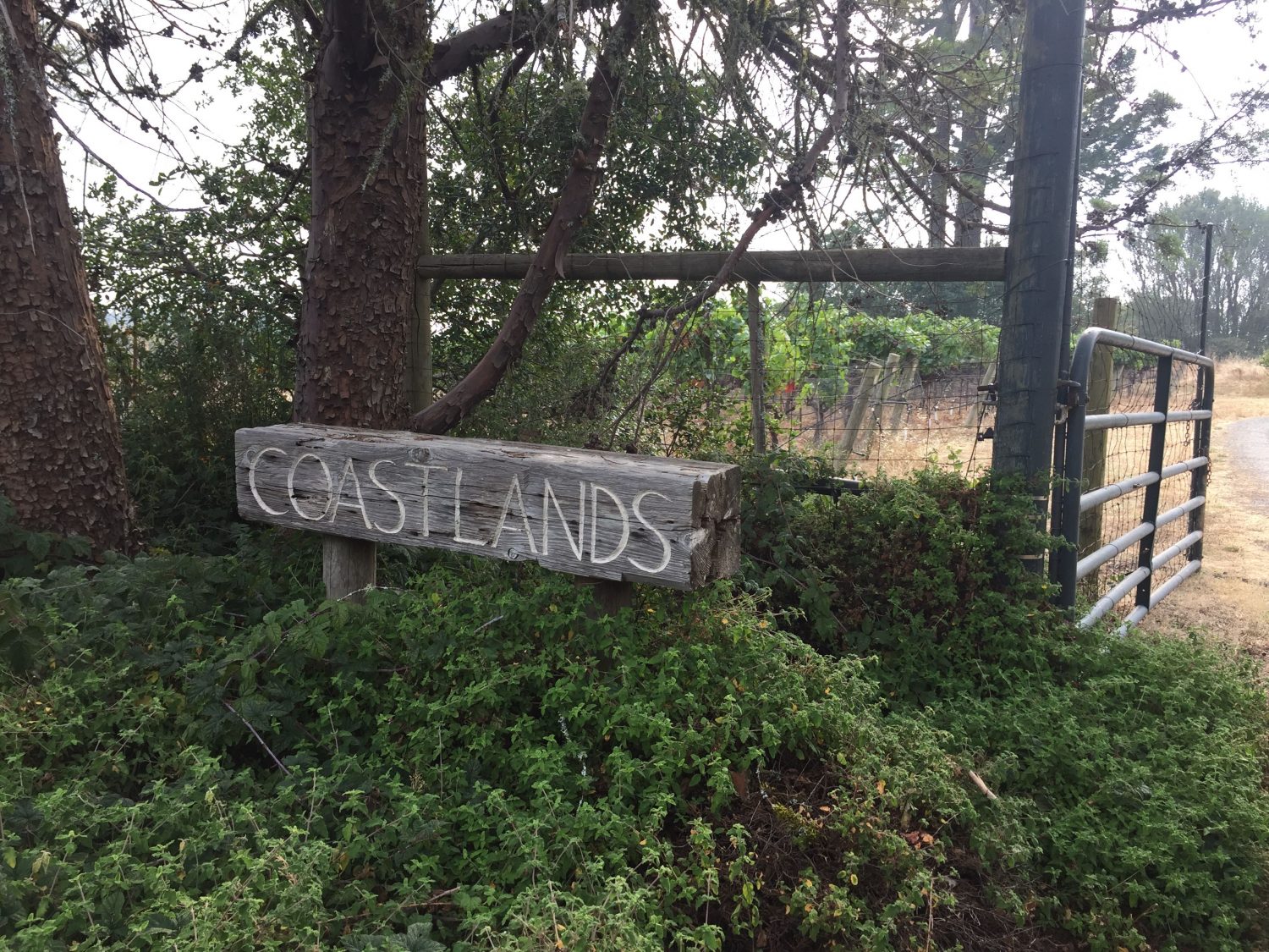 Coastlands Vineyard